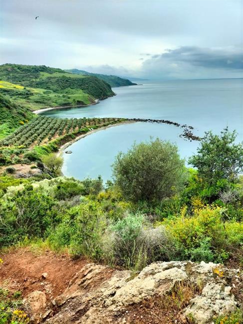 TRİLYE  ÇIKARMASI SPORTİF DOĞA YÜRÜYÜŞÜ